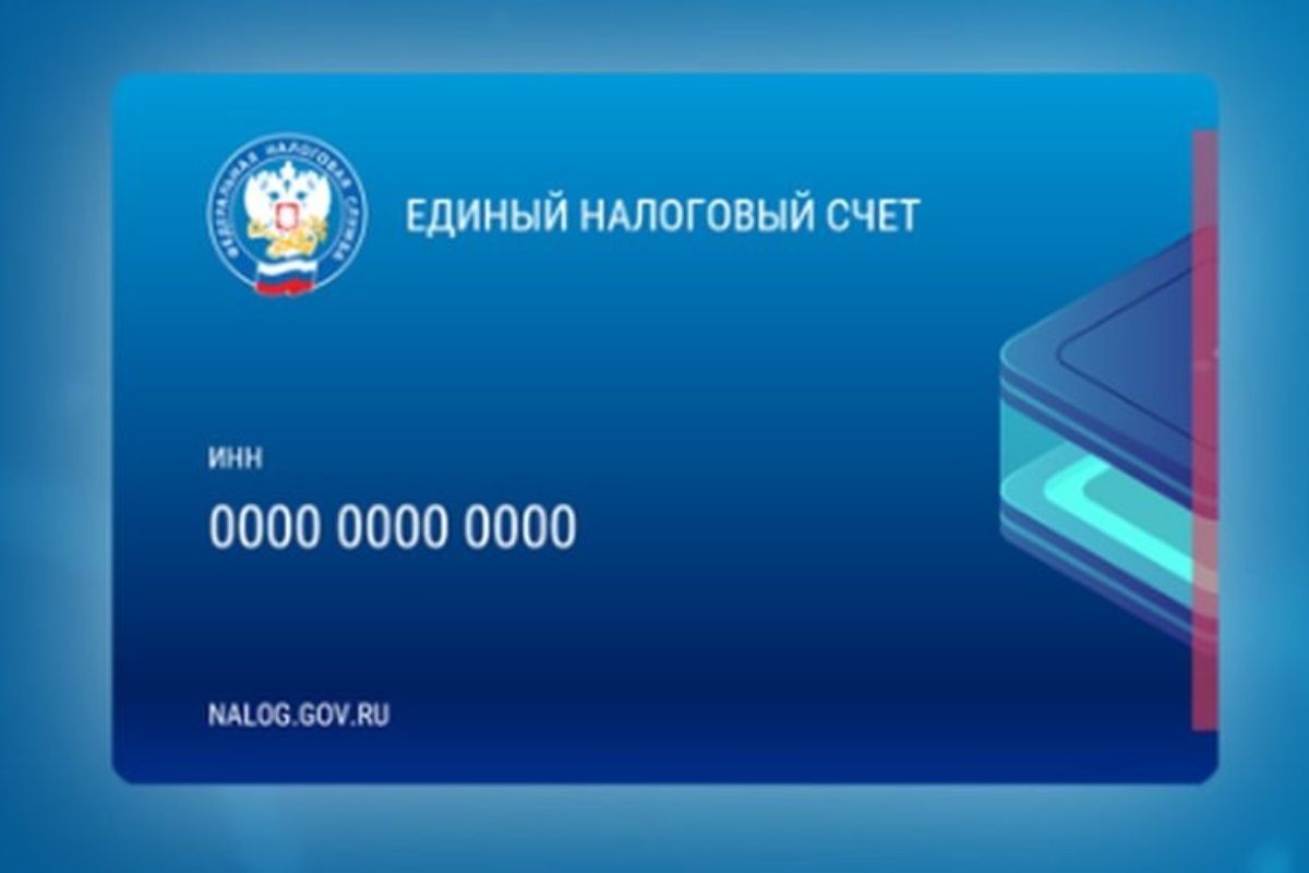 Какие справки о ЕНС можно запрашивать в налоговой инспекции, рассказали в УФНС России по Запорожской области.