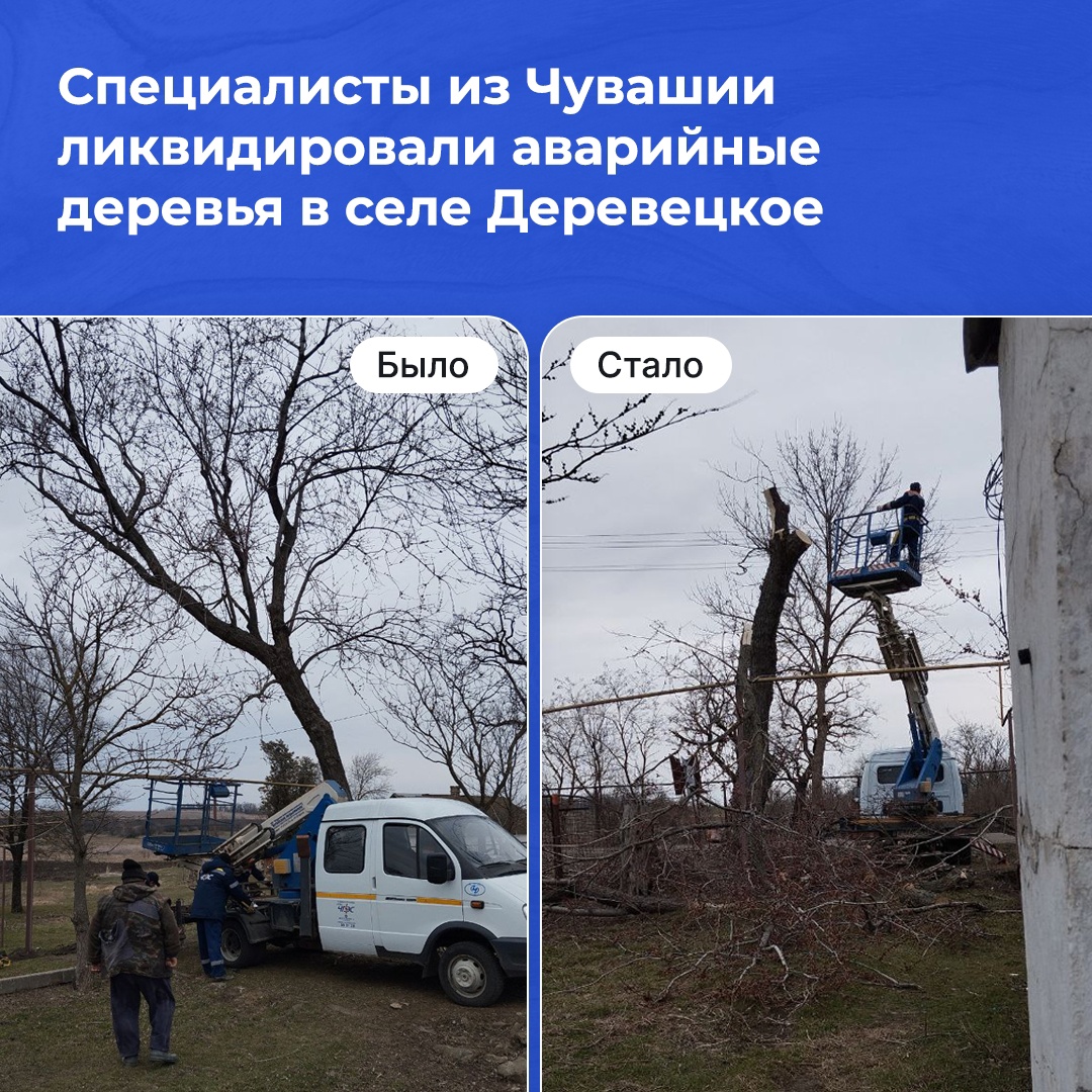 Специалисты из Чувашии ликвидировали аварийные деревья в селе Деревецкое.