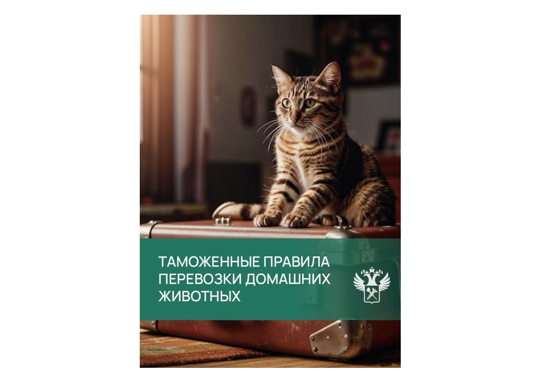 Напоминаем о таможенных правилах путешествий с домашними питомцами.