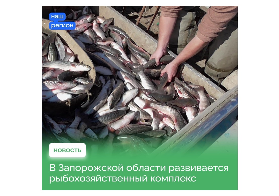 Рыбохозяйства Приазовья получат господдержку.