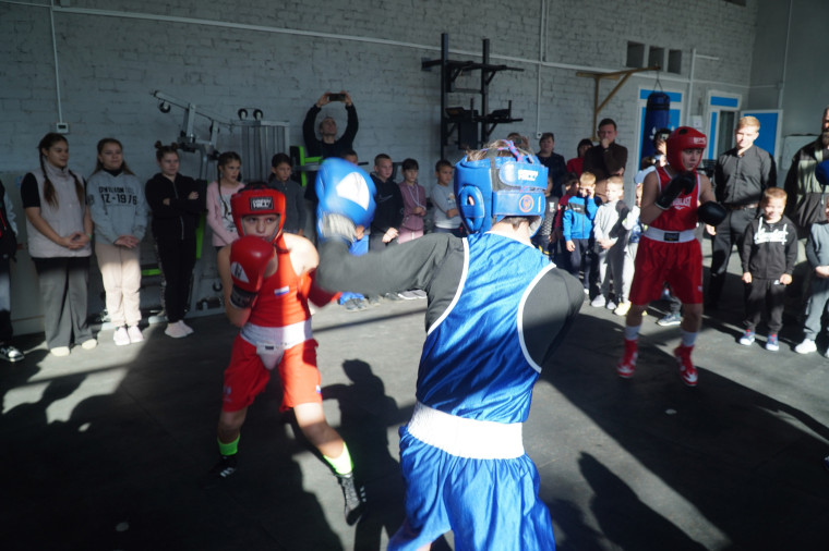 🥊 В селе Андровка Бердянского района открылся зал по боксу. 🥊 В селе Андровка Бердянского района открылся зал по боксу.